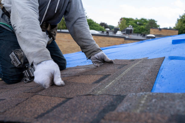 Best Tile Roofing Contractor  in Hazel Green, AL