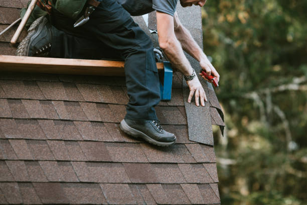 Best Storm Damage Roof Repair  in Hazel Green, AL